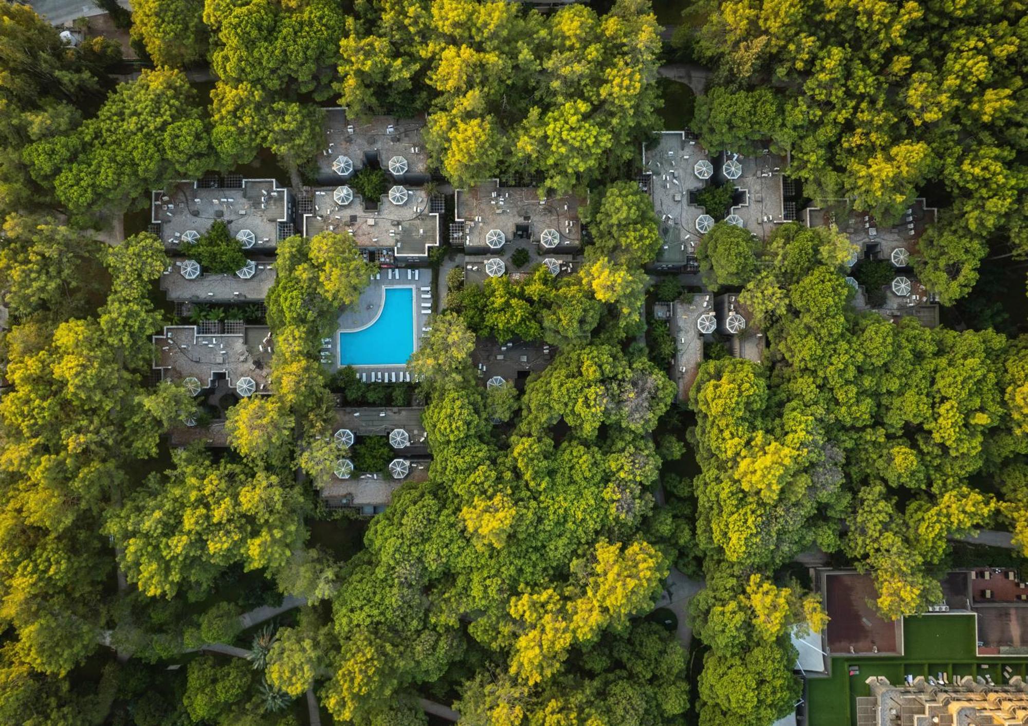 Balmy Foresta Beldibi  Εξωτερικό φωτογραφία